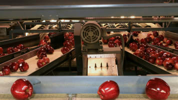 carrier-rentals-food-processing-industries