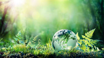 carrier-glass-globe-sitting-in-grass-with-sunshine