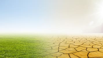 carrier-climate-example-desert-field