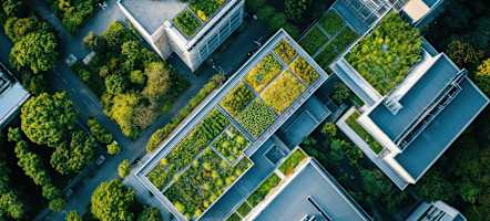 carrier-market-solutions-district-heating-and-cooling-en-c