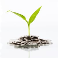 green-leaf-saving-money