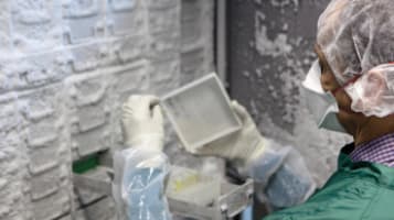 Scientific-Freezer-applications-369x207