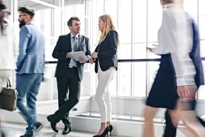 Elements_Image_-_Insight