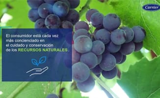 expertos-en-control-de-la-temperatura