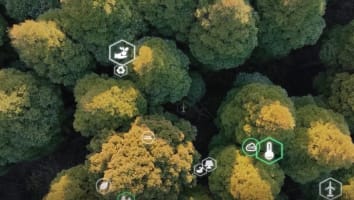 trees representing sustainability and heat pumps