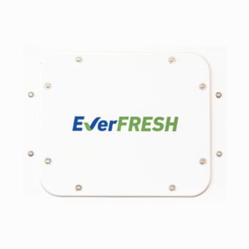 everfresh-photo-3