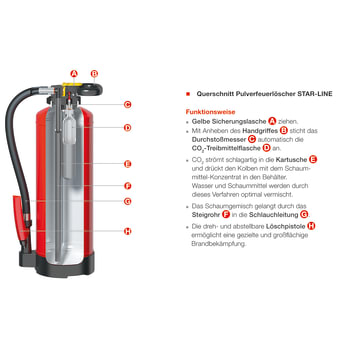 gloria-schnitt-star-line-pulver-1x1