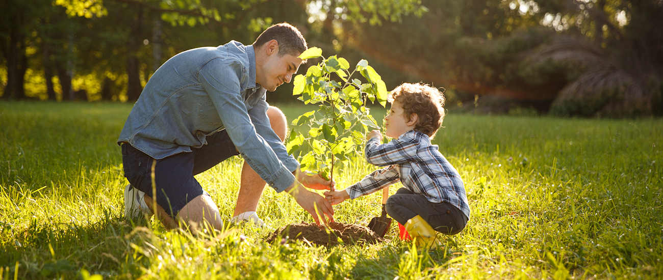 man-and-boy-planting-tree