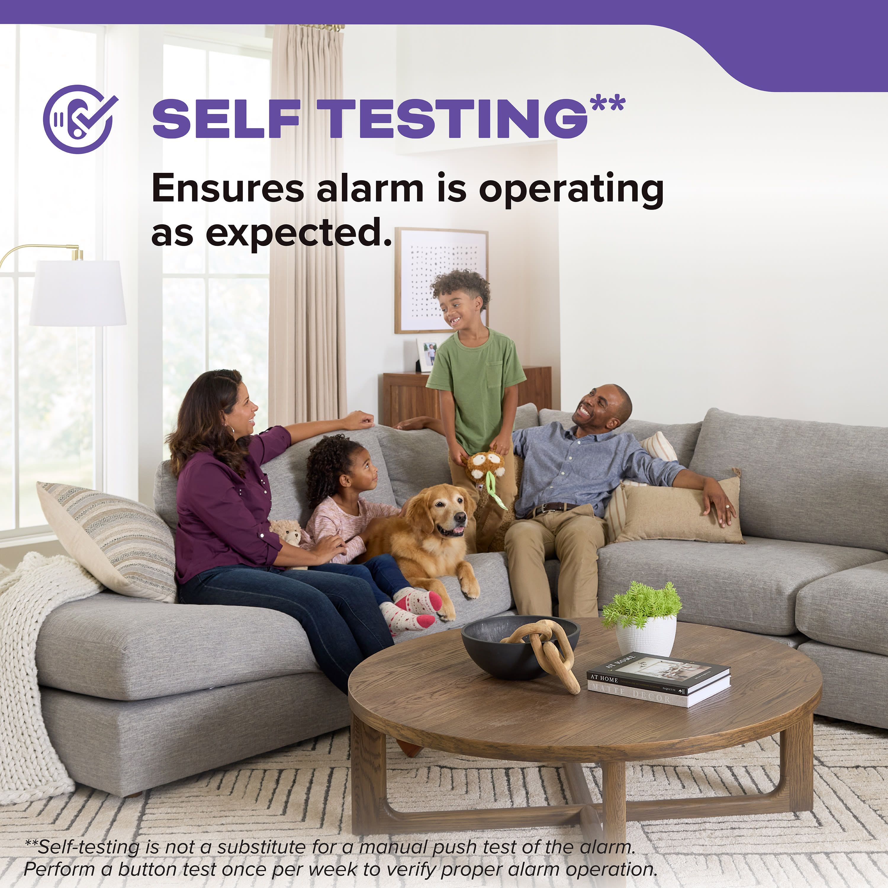 DETECT Combination Smoke & Carbon Monoxide Alarm, Hardwired with 10