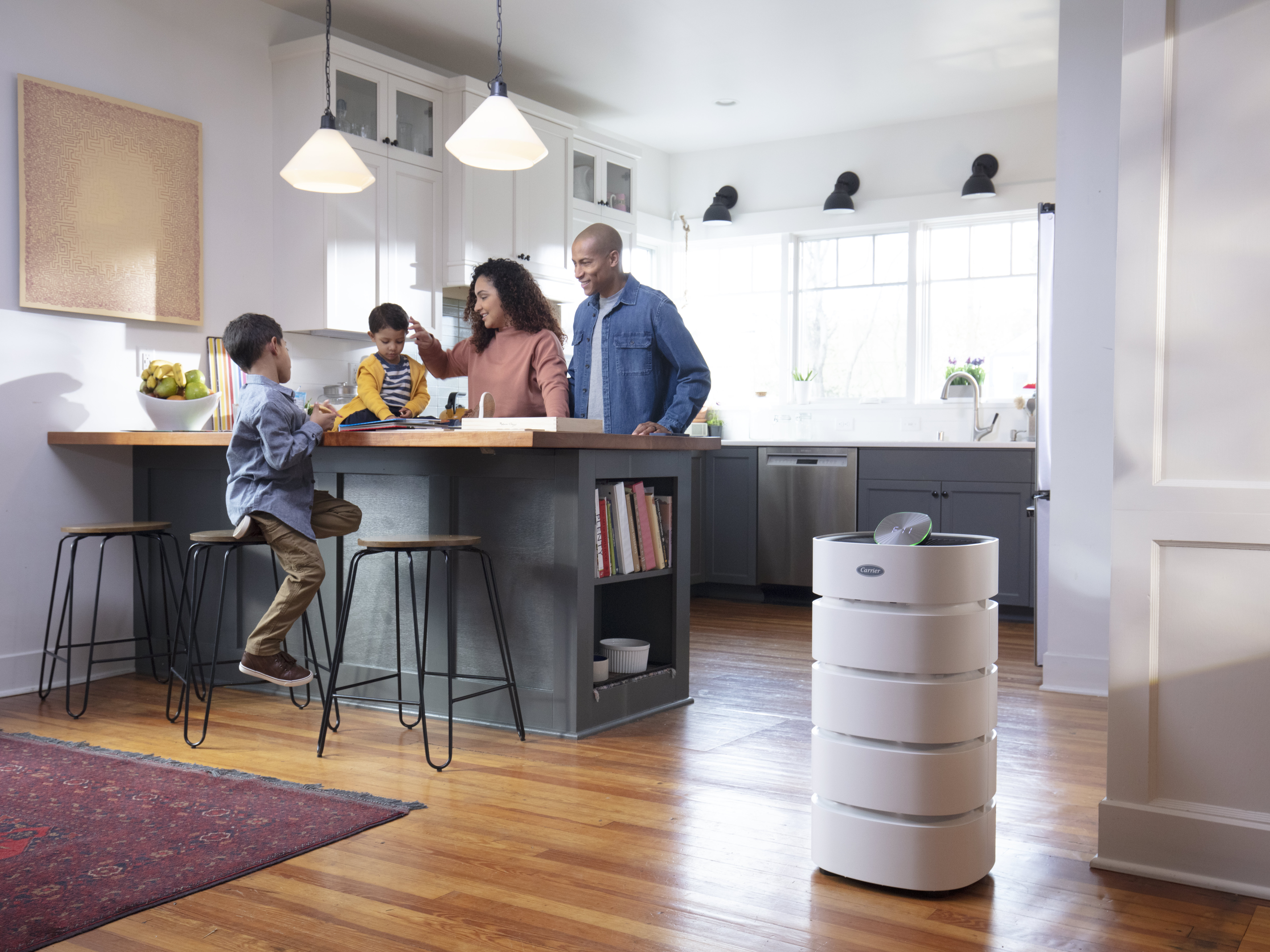 Carrier germicidal deals air purifier