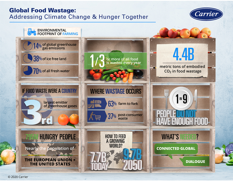 Global Food Wastage: Addressing Climate Change and Hunger Together