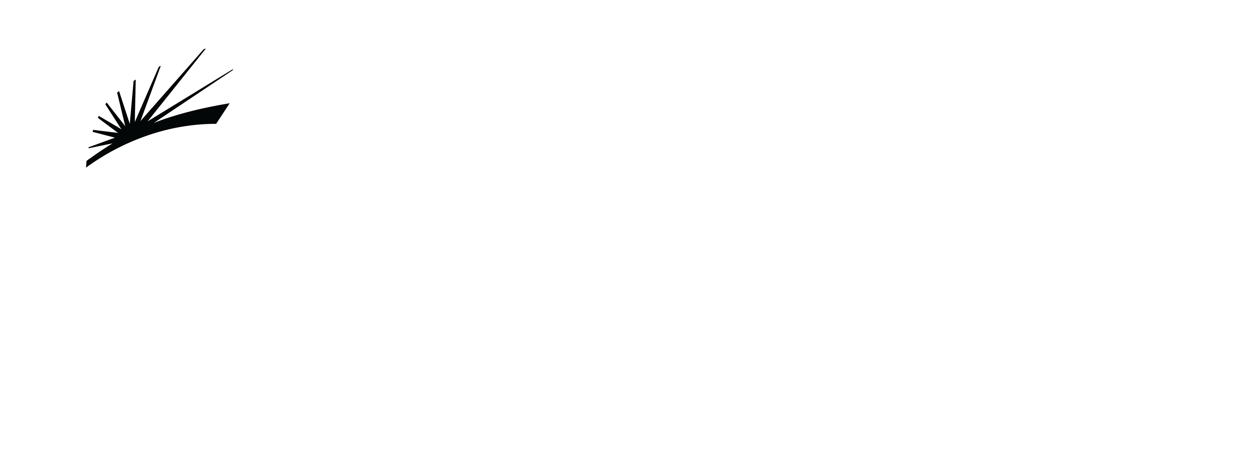 kidde-fire-systems-logo