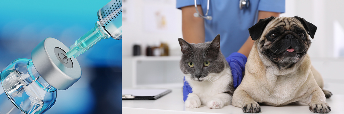 Cat and dog on exam table at veterinarian office with closeup of vaccine bottle