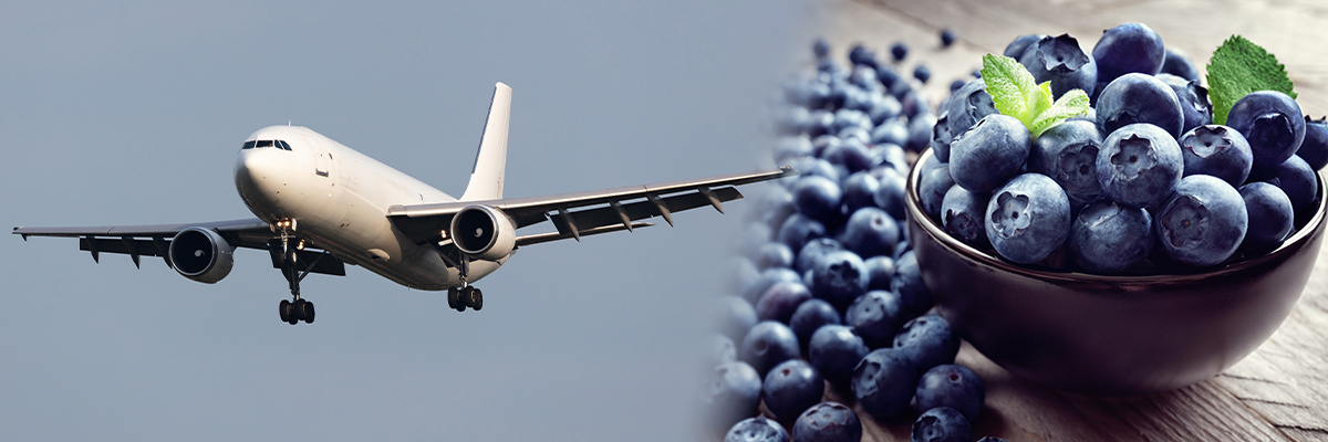 Bowl of blueberries next to cargo plane in flight