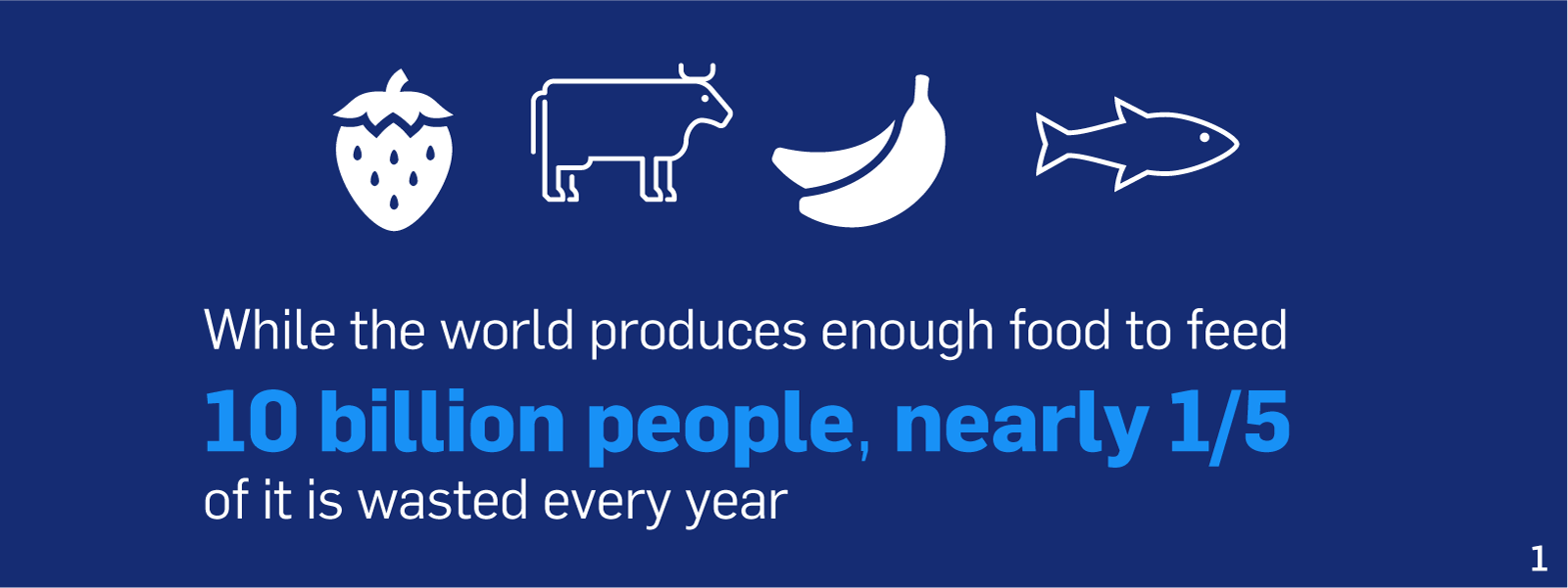 While the world produces enough food to feed 10 billion people, 1/3 or more of it is wasted every year