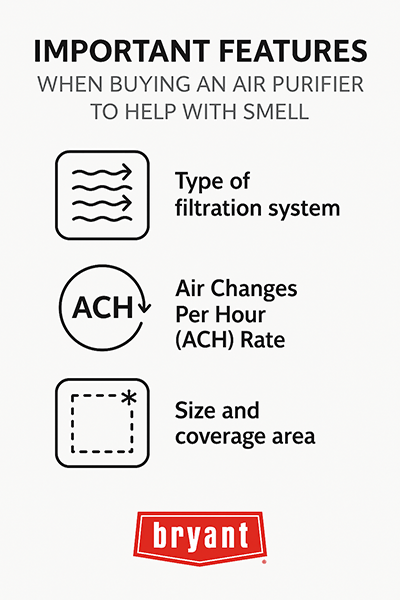 Do Air Purifiers Help With Kitchen Smells: Ultimate Guide