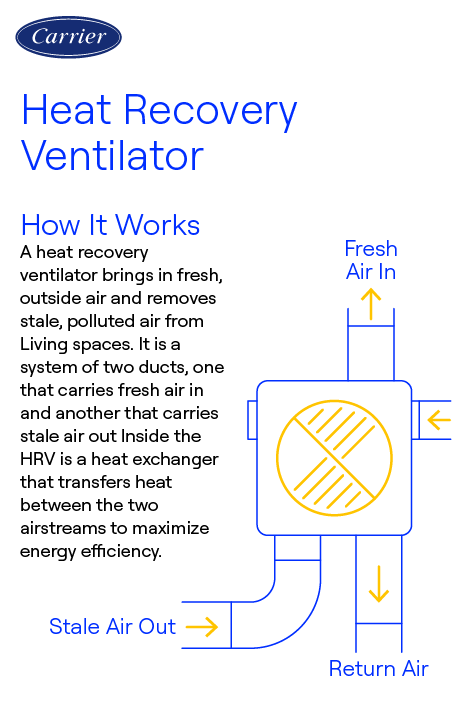 What is Hrv Ventilation System: Ultimate Guide to Fresh Air Efficiency