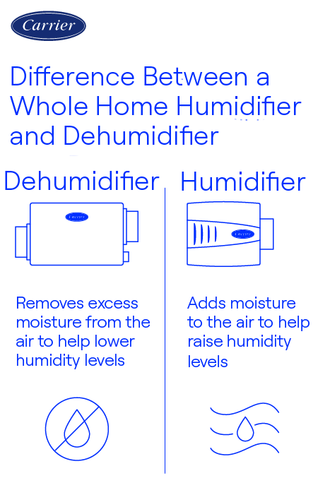 Do Humidifiers Help With Static? Discover the Truth Now!