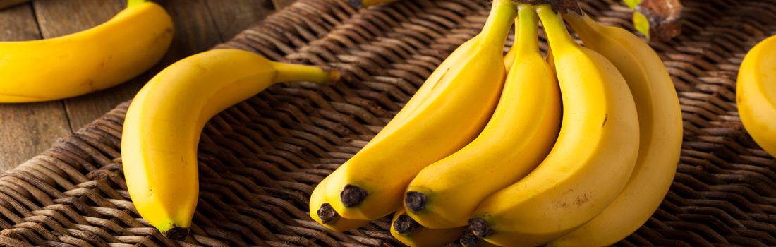 Blog_MA_bananas_img2 Blog_MA_bananas_img2