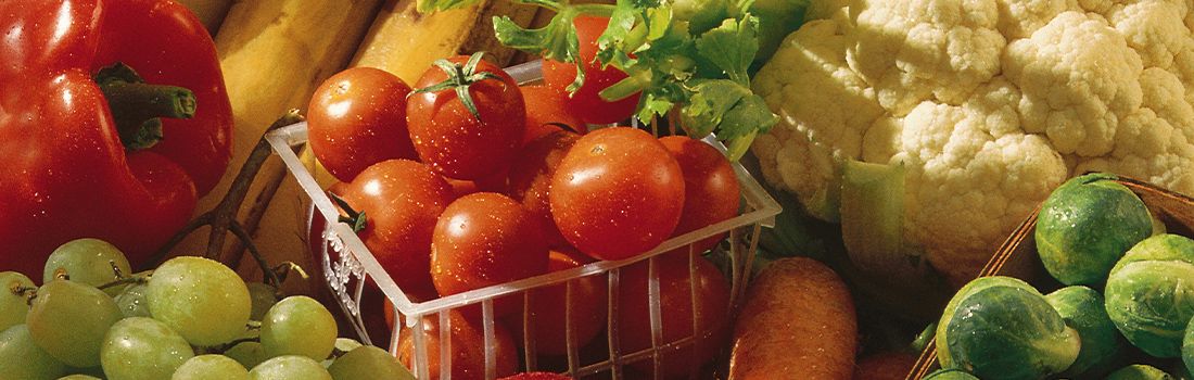 Blog_Veg_header_img Blog_Veg_header_img