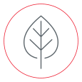 energy-icon