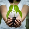 woman-holding-green-plant