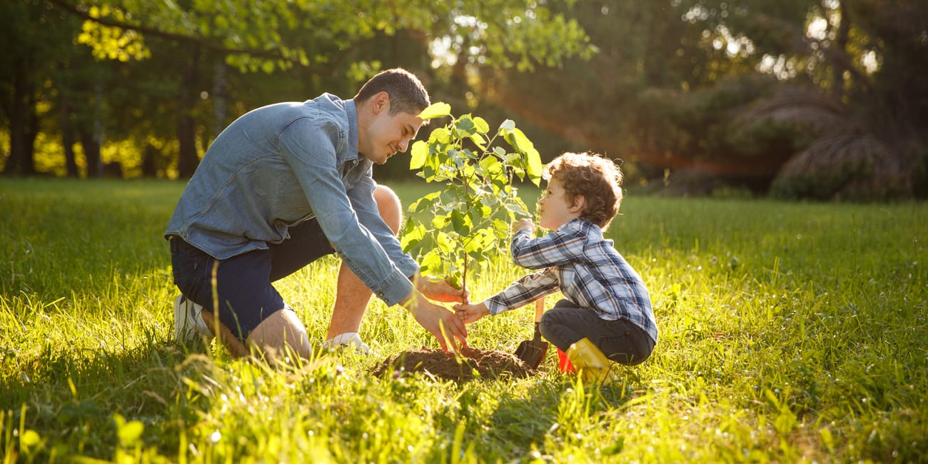 man-and-boy-planting-tree