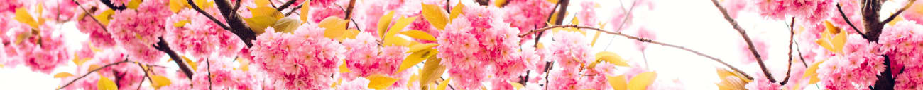 Flower_transport_picture