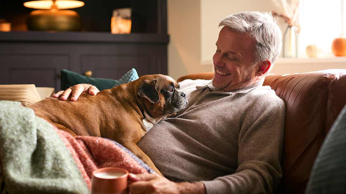 a man and dog relax on a couch after having the best humidifier installed