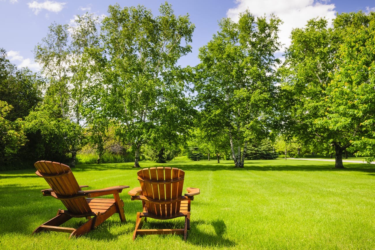 two-chairs-green-grass-and-trees_3x2