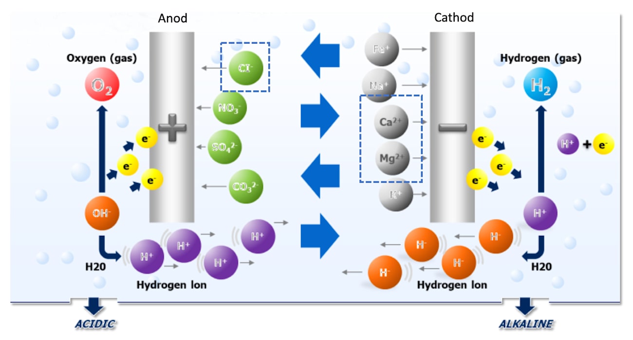 carrier-services-solutions-IT-scale-removal-system-electric-process