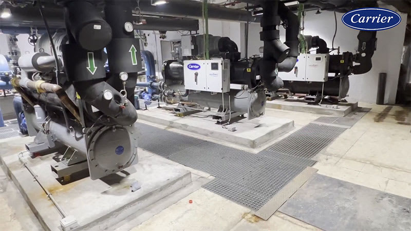 melia-castilla-case-study-video