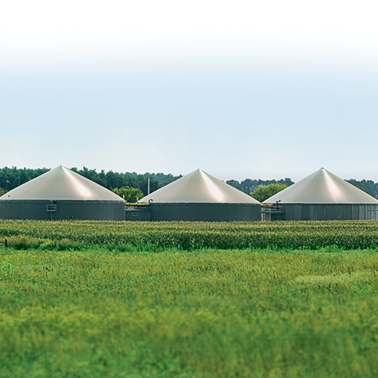 Installation de dômes biogaz