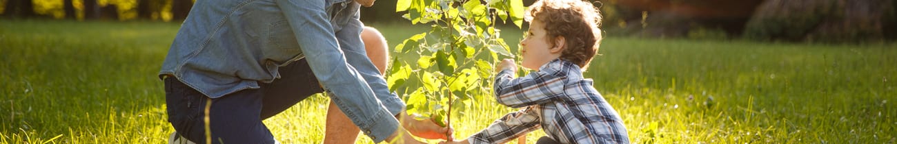man-and-boy-planting-tree