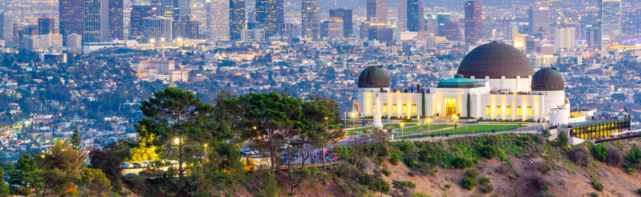 carrier-local-service-los-angeles-california