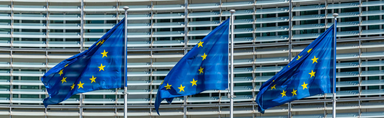 european-union-flags_c