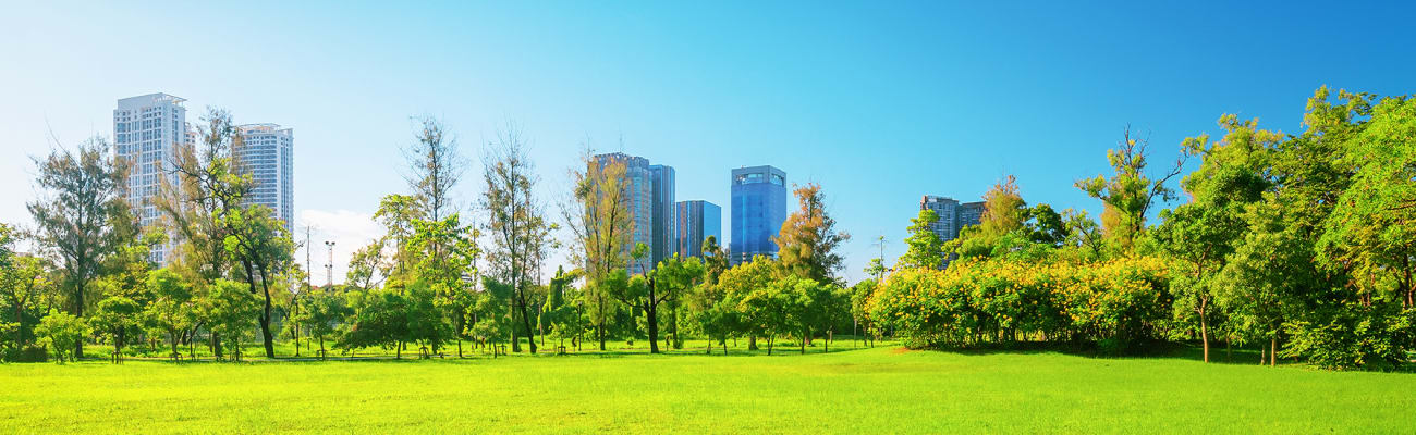 grass-field-trees-city_h