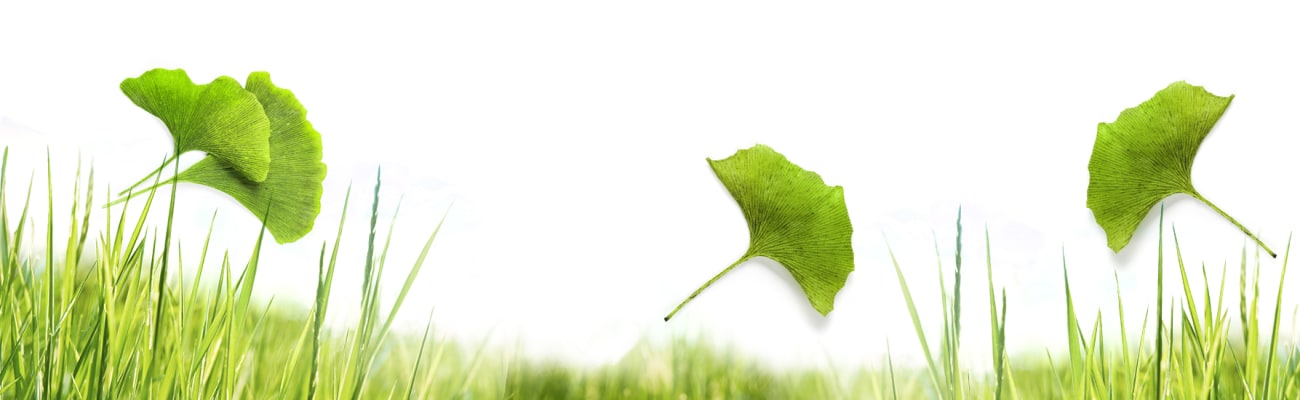 grass_leaves-banner_2000x550