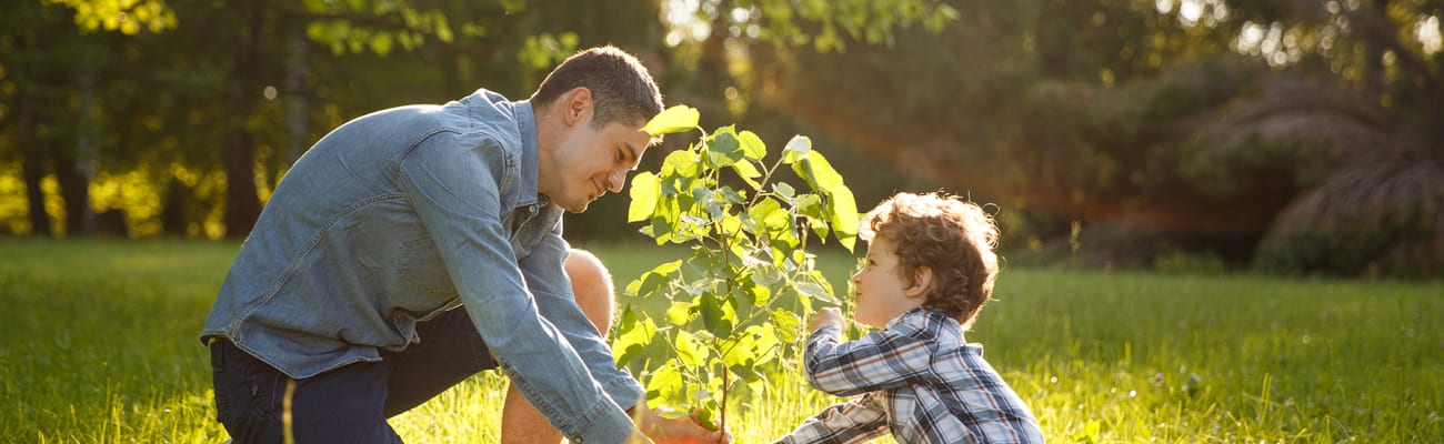 father-and-son-planting-tree-under-sun-676651870_h