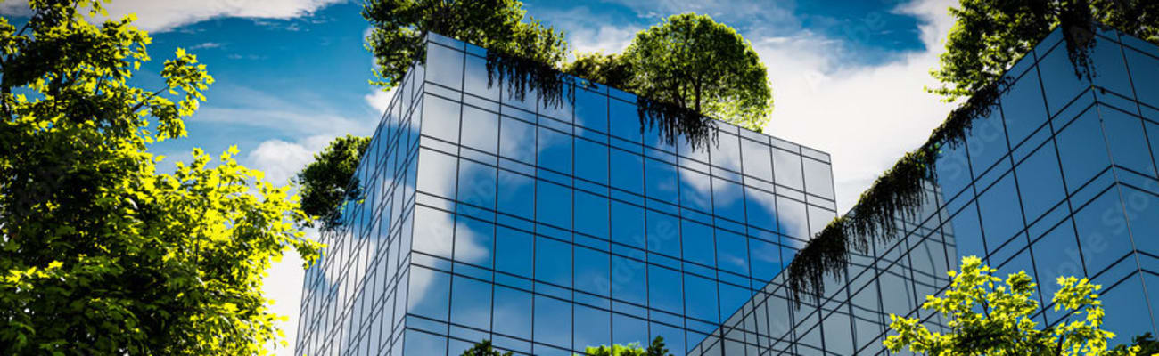 buildings-and-trees