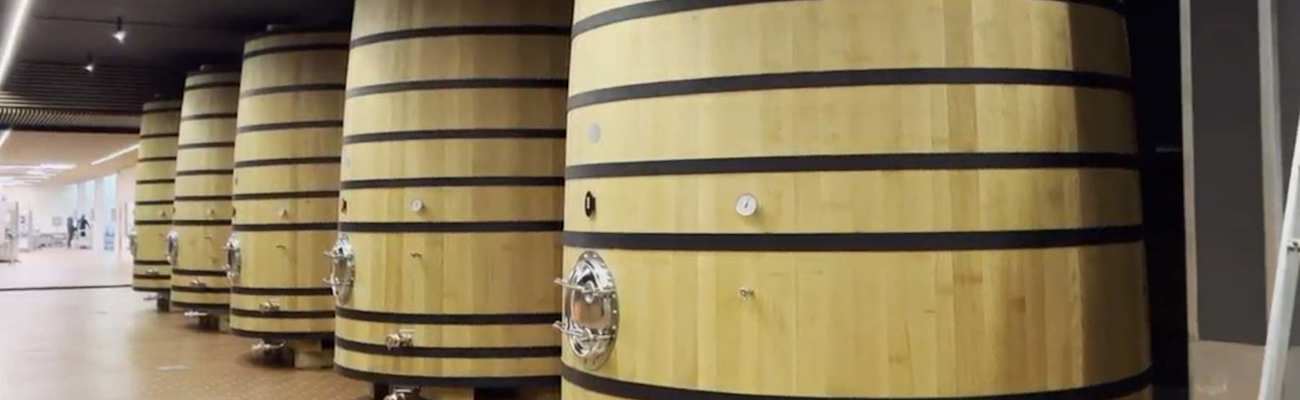 bodega-pago-de-carraovejas-h