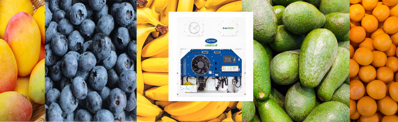EverFRESH-hero-banner-2021
