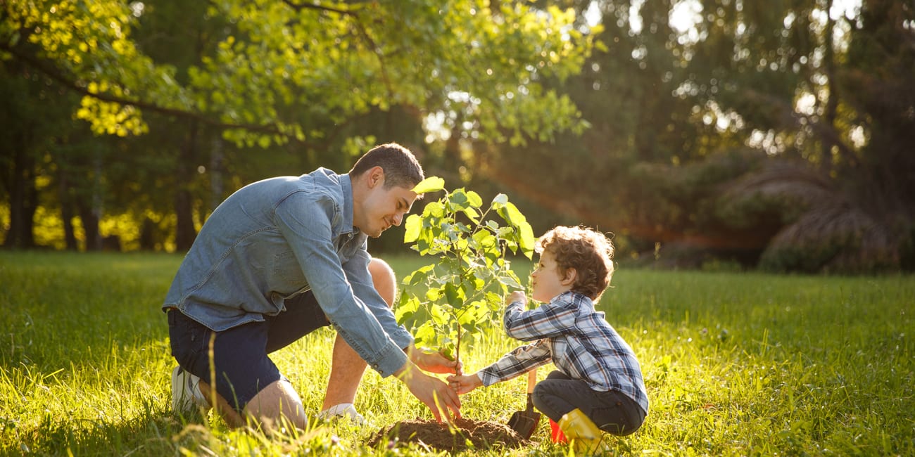 man-and-boy-planting-tree