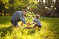 man-and-boy-planting-tree