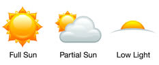 full-partial-low-sun full-partial-low-sun