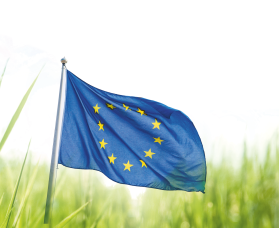 eu-flag-grass eu-flag-grass