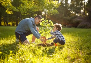 man-and-boy-planting-tree