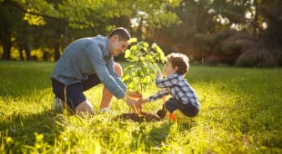 man-and-boy-planting-tree