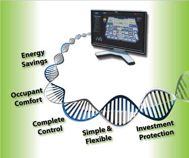 carrier-controls-dna-loop