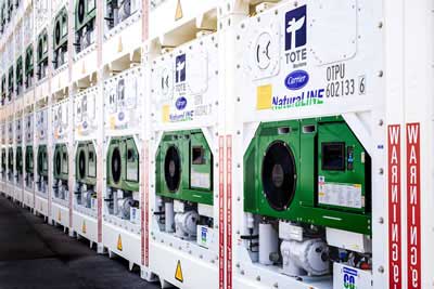 tote-naturaline-units-400x267